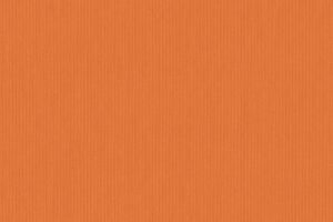 Classic Orange